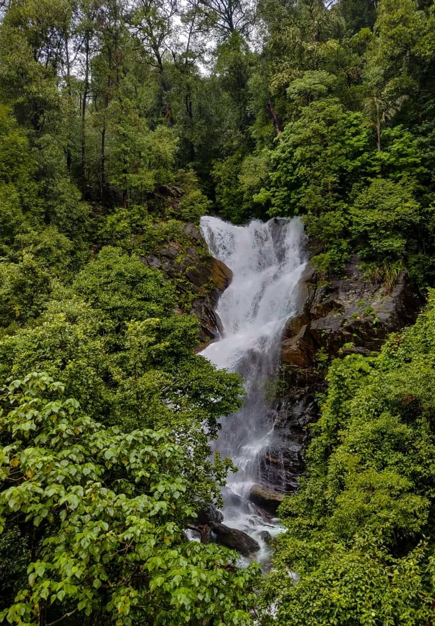 Kudremukh National Park
