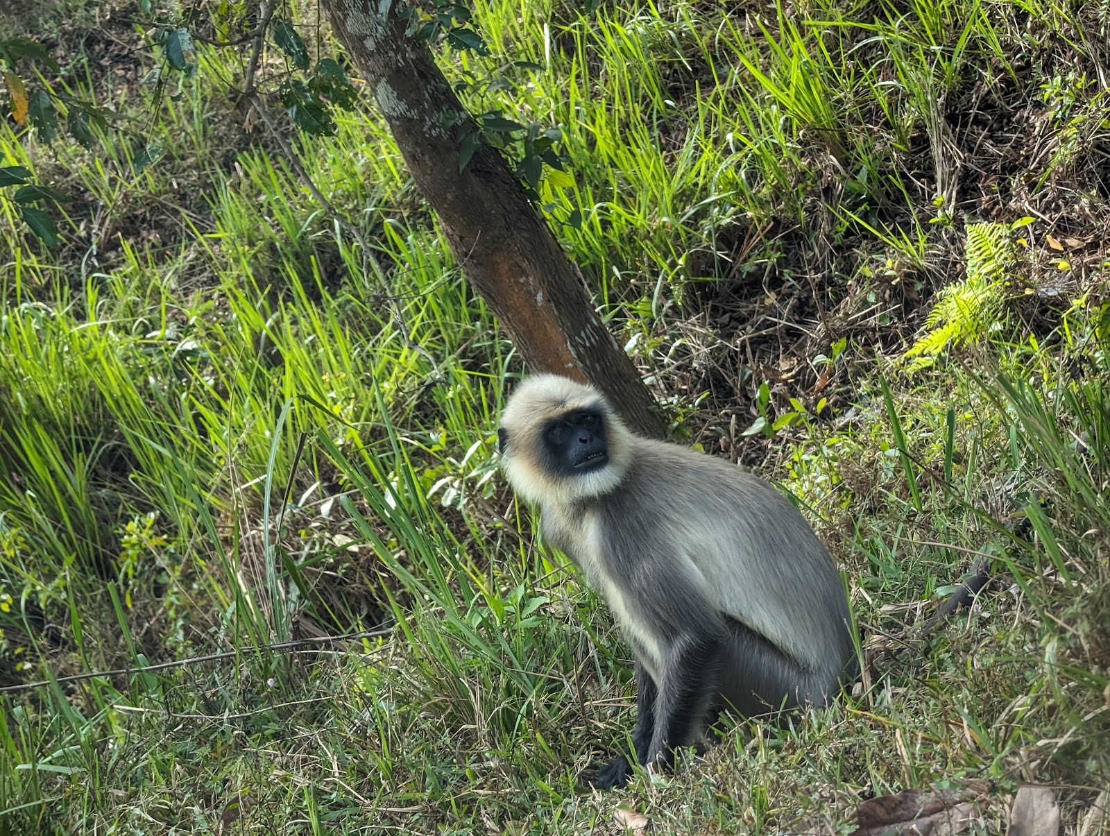 Nagarhole National Park