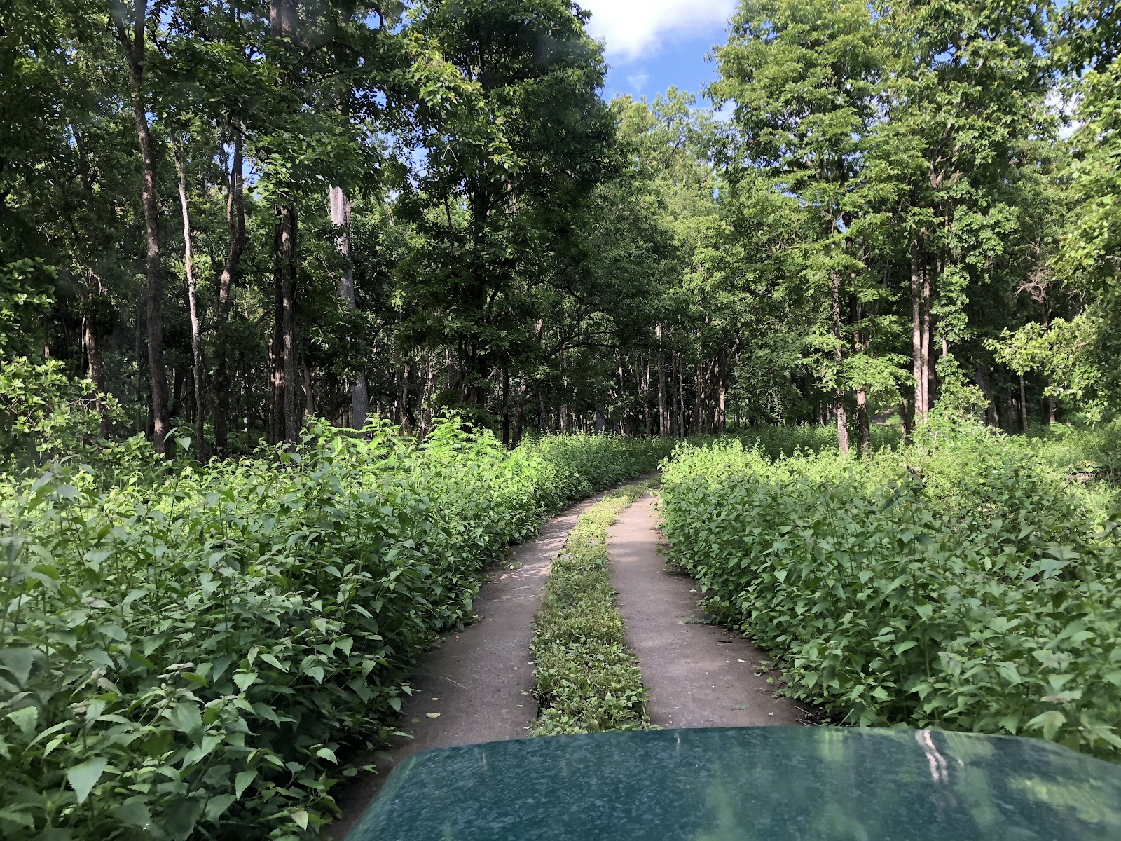 Tholpetty Wildlife Sanctuary