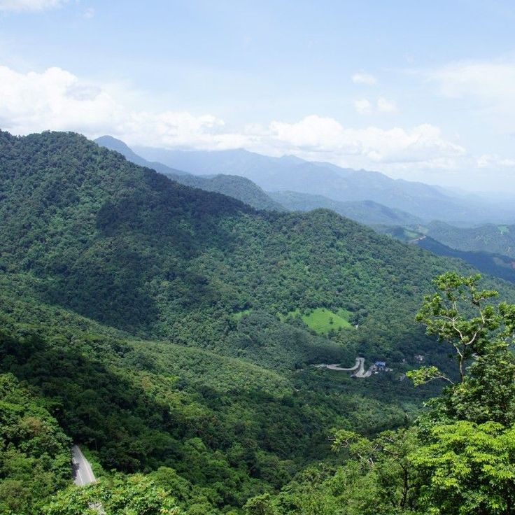 Wayanad Wildlife Sanctuary