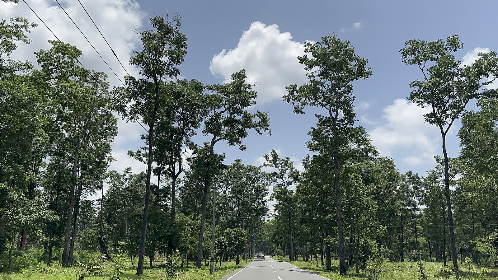 Wayanad Wildlife Sanctuary