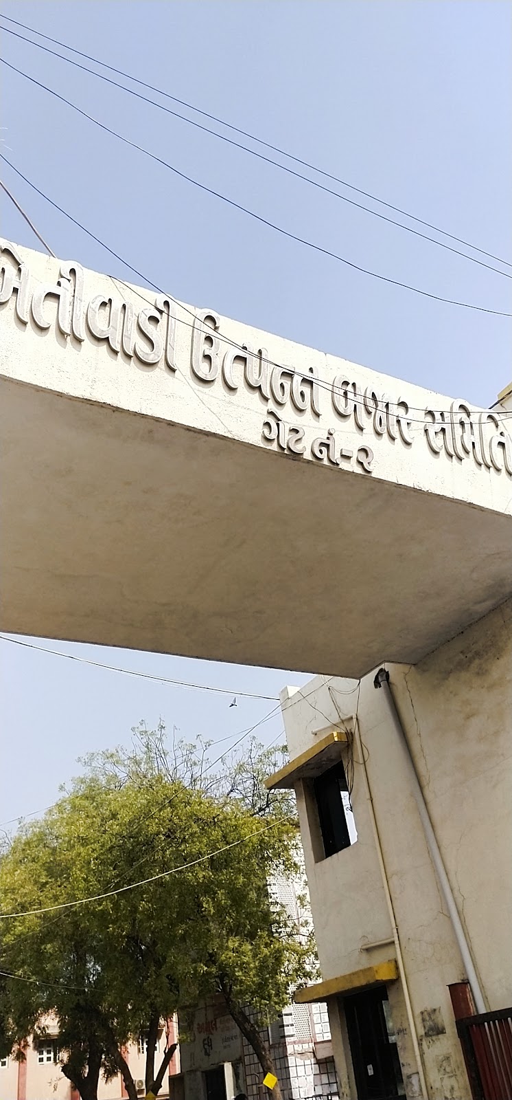 Local Agricultural Produce Market