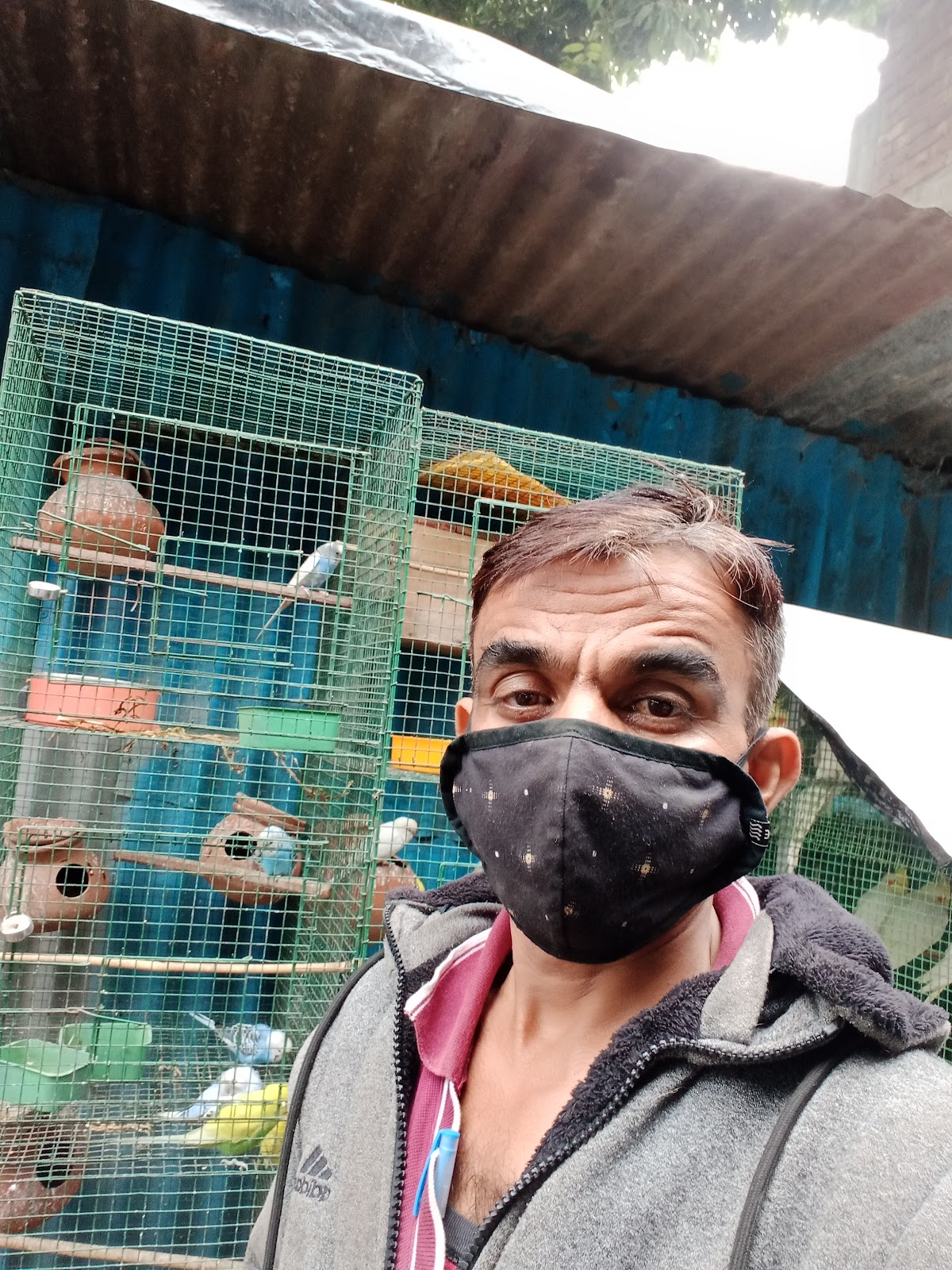 Municipal Garden Kadi