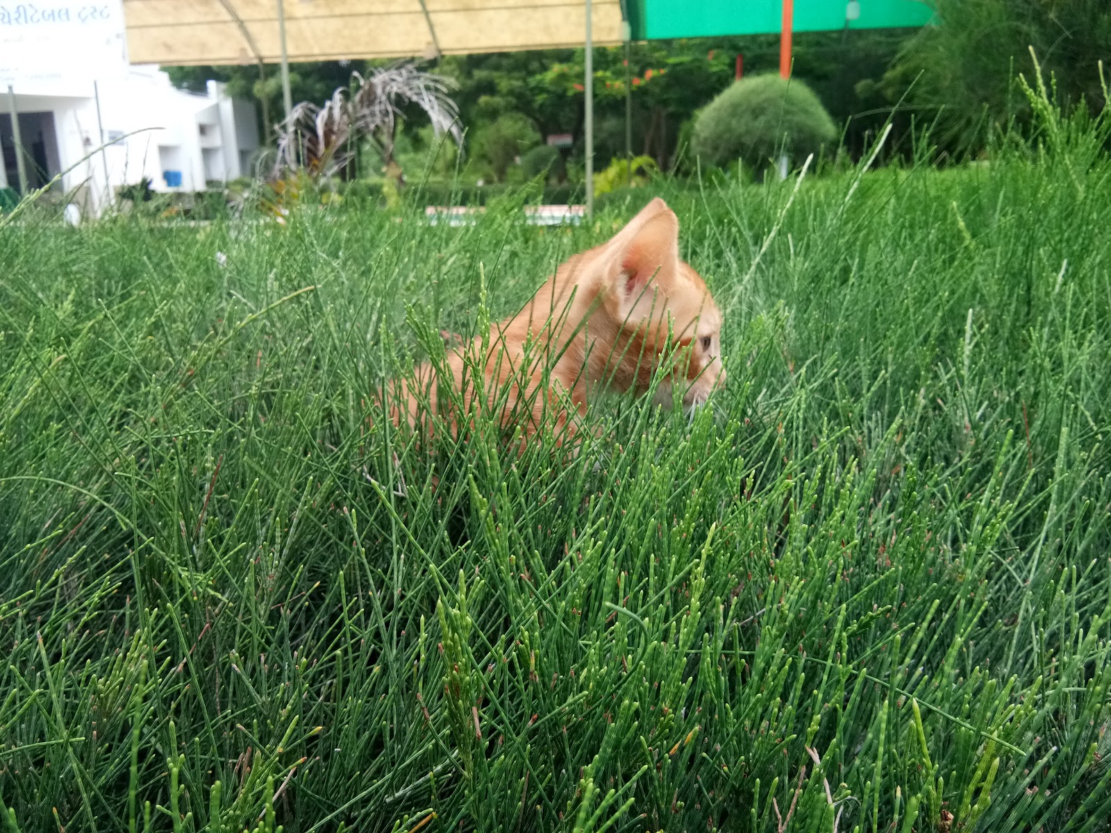 Small Scale Dairy Farm Tours