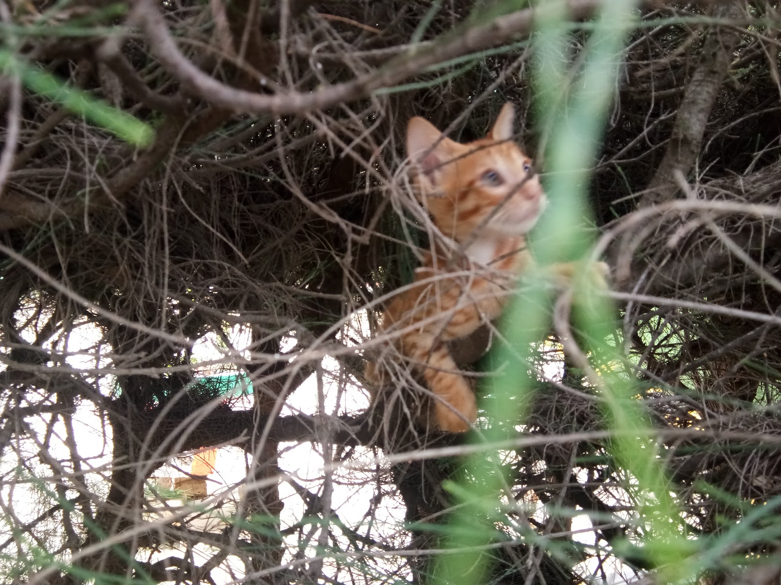 Small Scale Dairy Farm Tours
