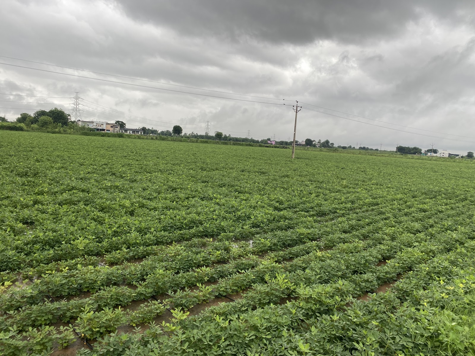Small Scale Dairy Farm Tours