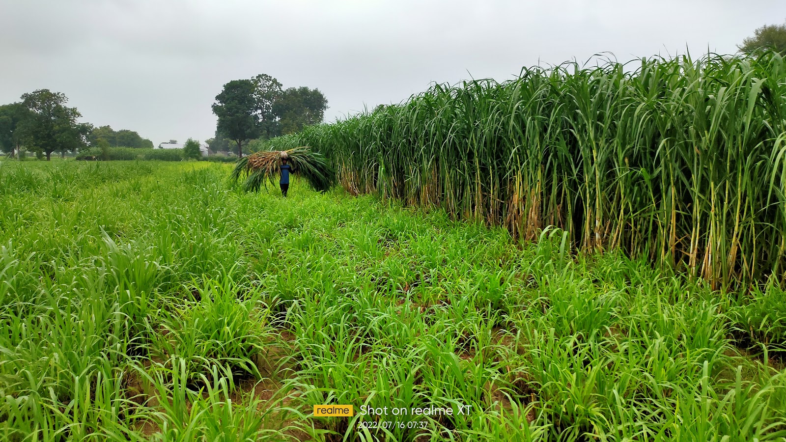 Small Scale Dairy Farm Tours