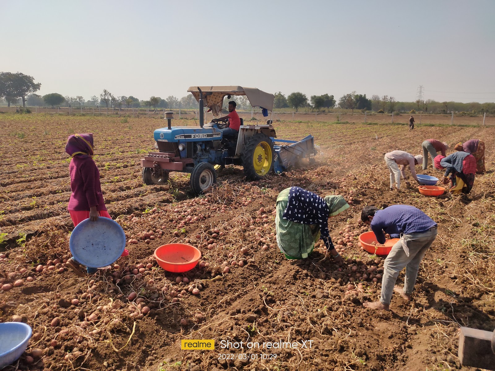 Small Scale Dairy Farm Tours