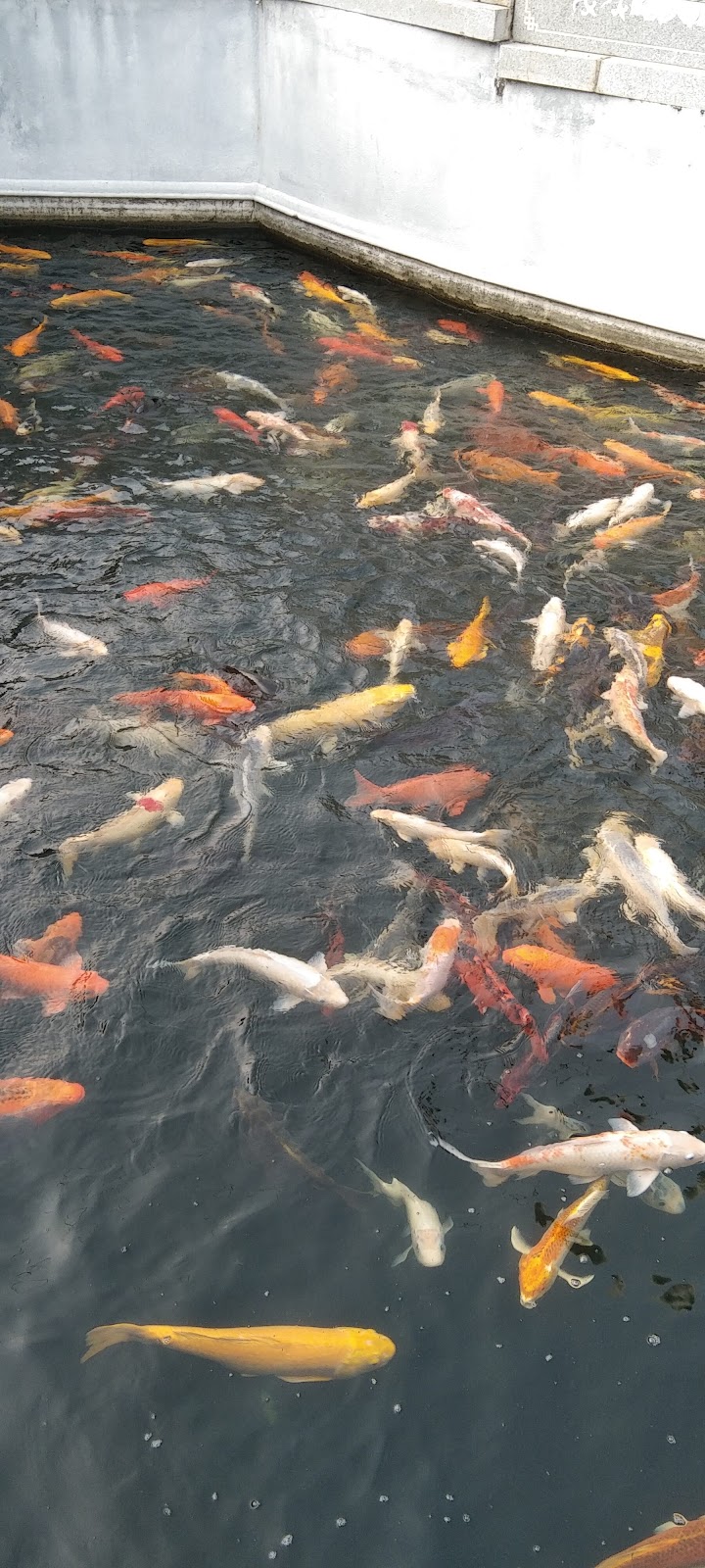 Hanuman Statue Viewpoint