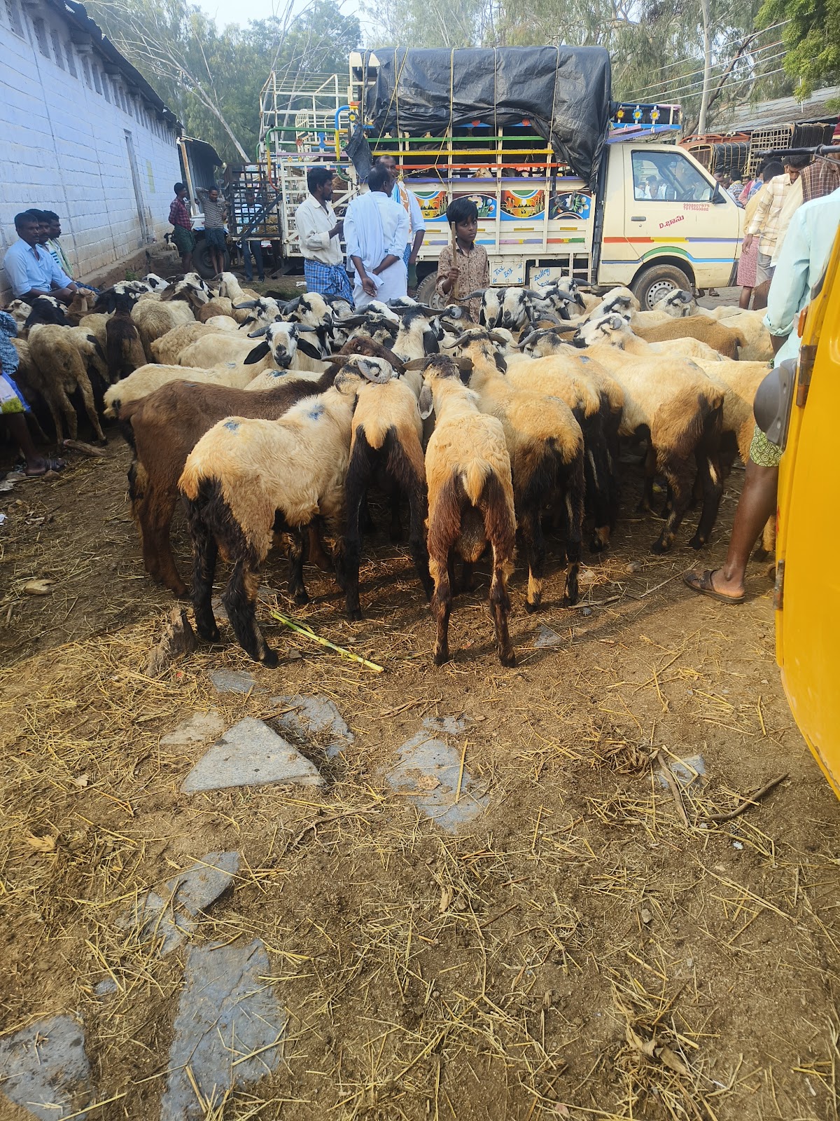 Kadiri Market Street