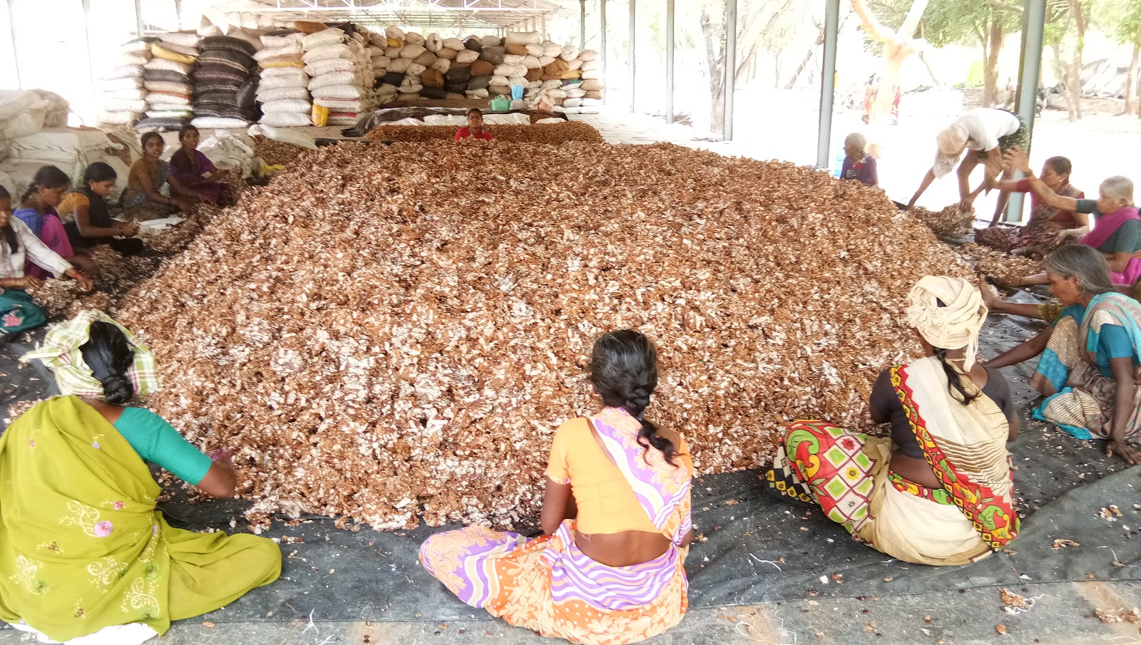 Kadiri Market Street
