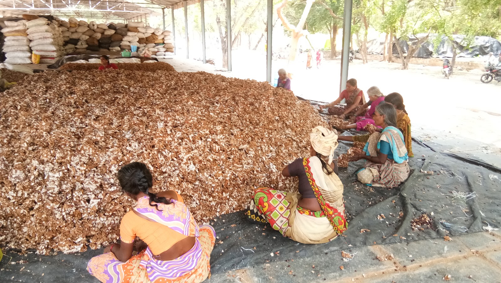 Kadiri Market Street