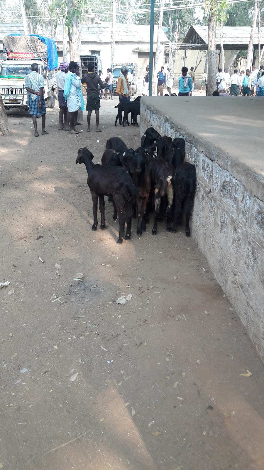 Kadiri Market Street