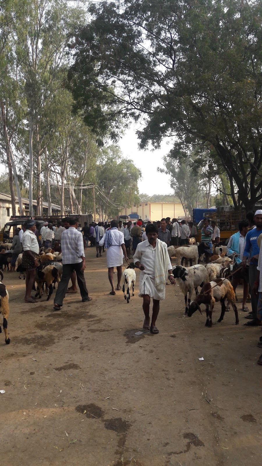 Kadiri Market Street