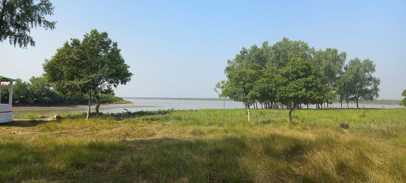 Sundarban Mangrove Forest