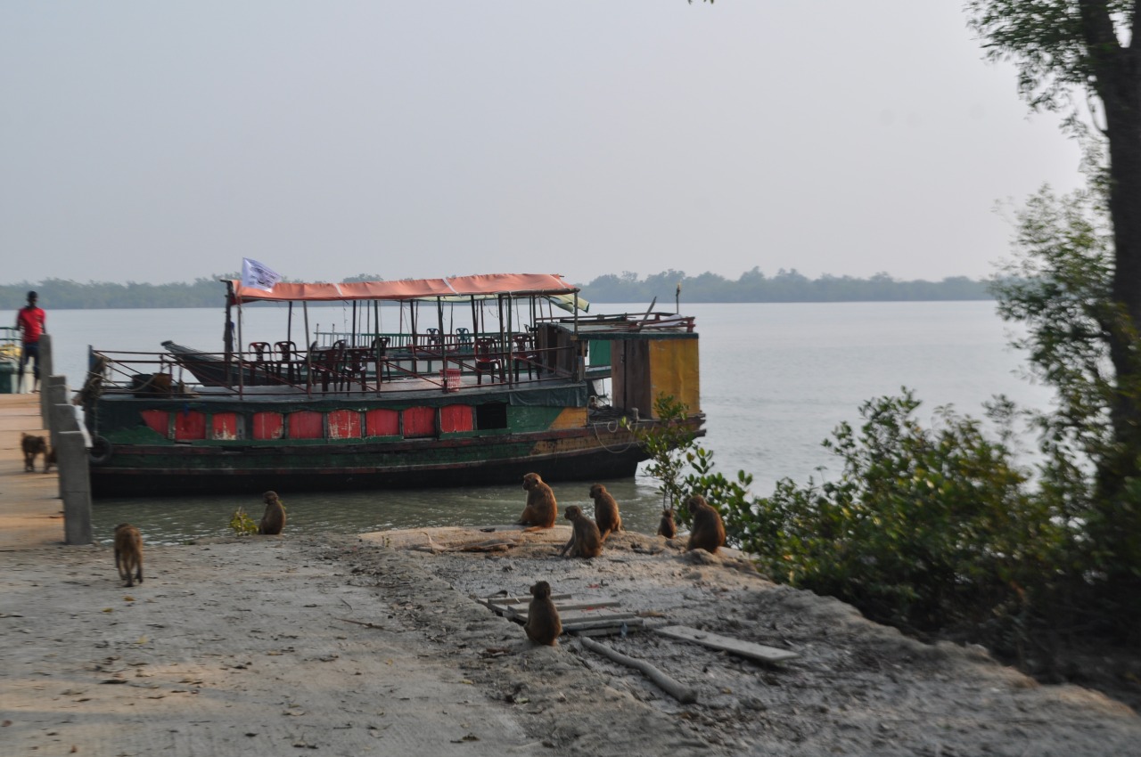 Sundarbans National Park
