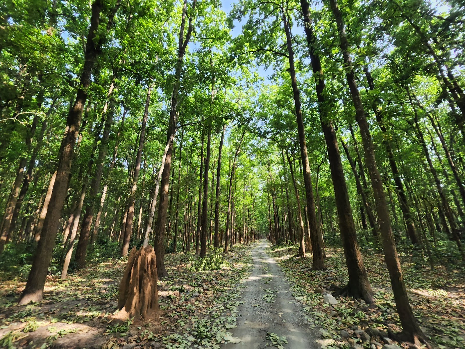 Sitabani Wildlife Reserve