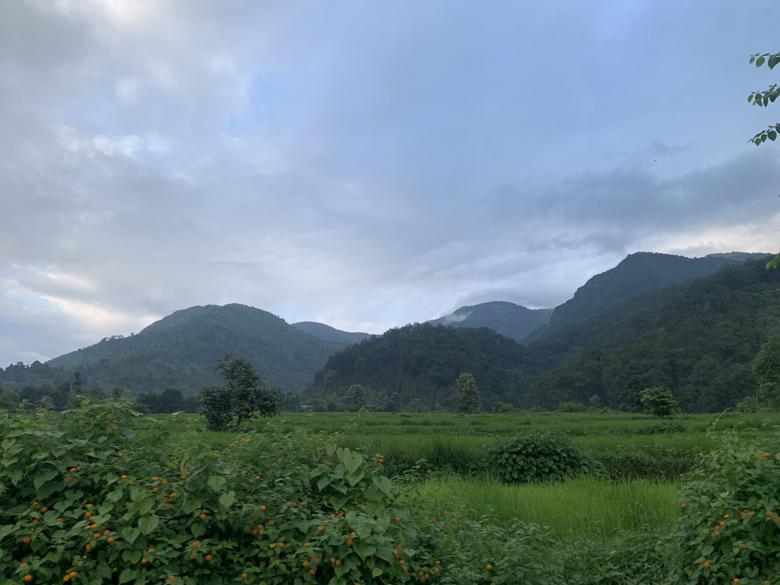 Sitabani Wildlife Reserve