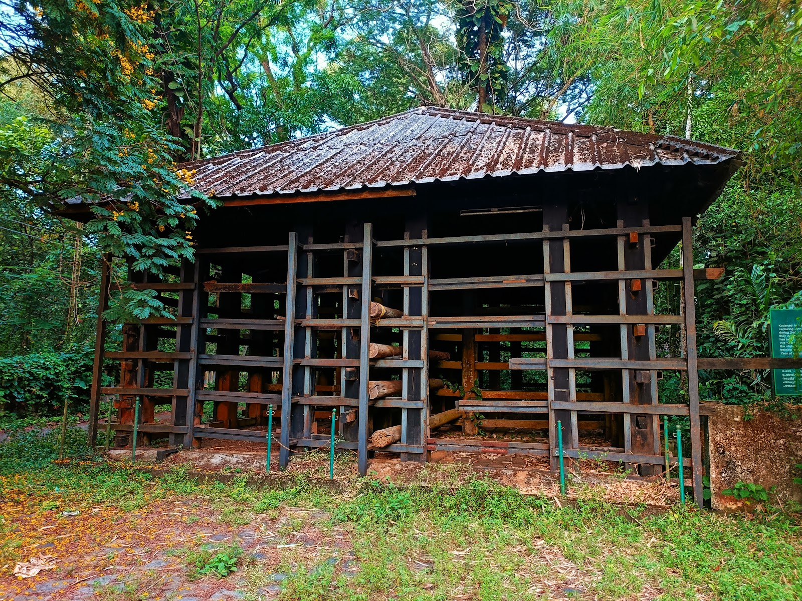 Kodanad Elephant Training Centre