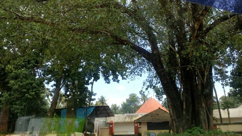 Keezhillam Mahadeva Temple