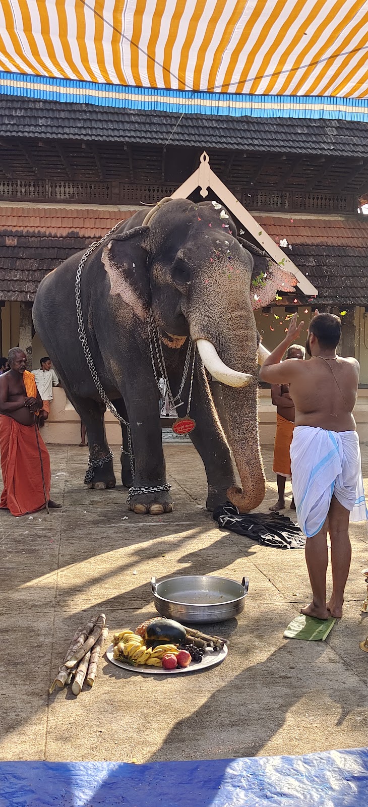 Thiru Nayathode Siva Narayana Temple