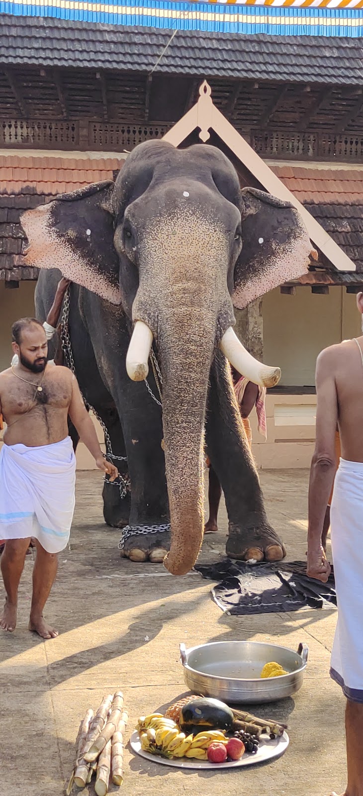 Thiru Nayathode Siva Narayana Temple