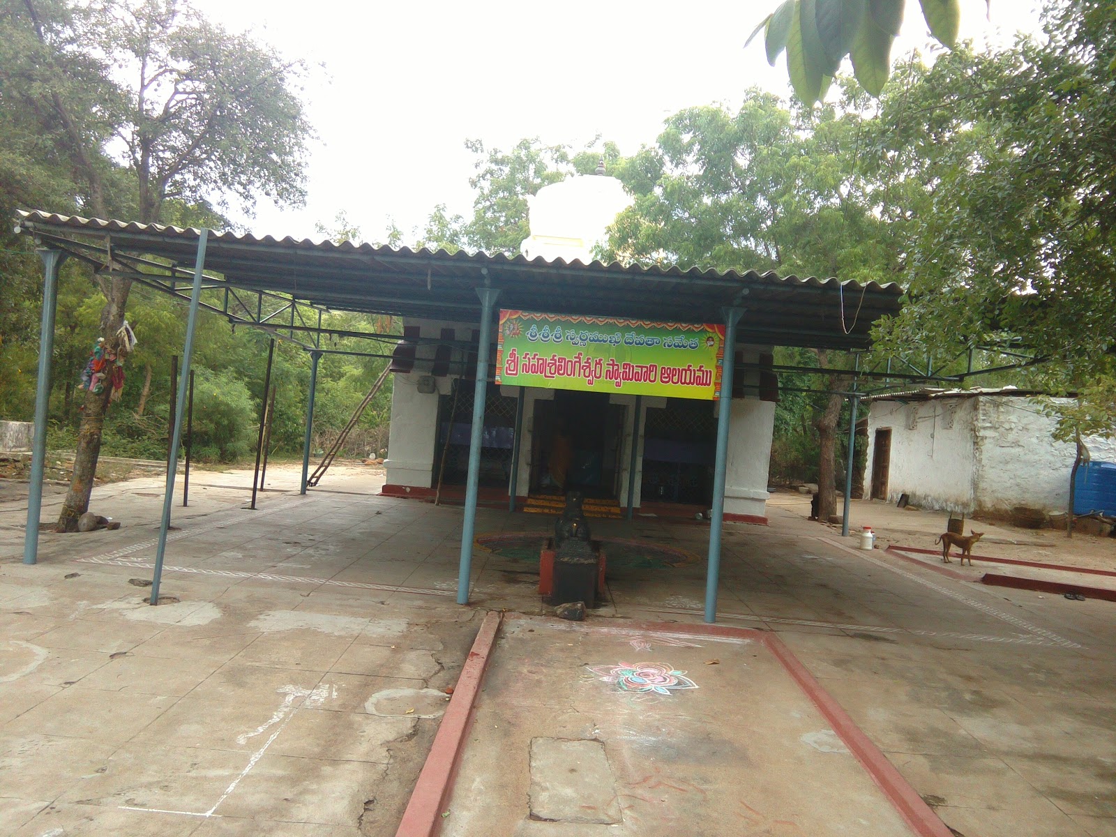 Kalahasti Waterfalls