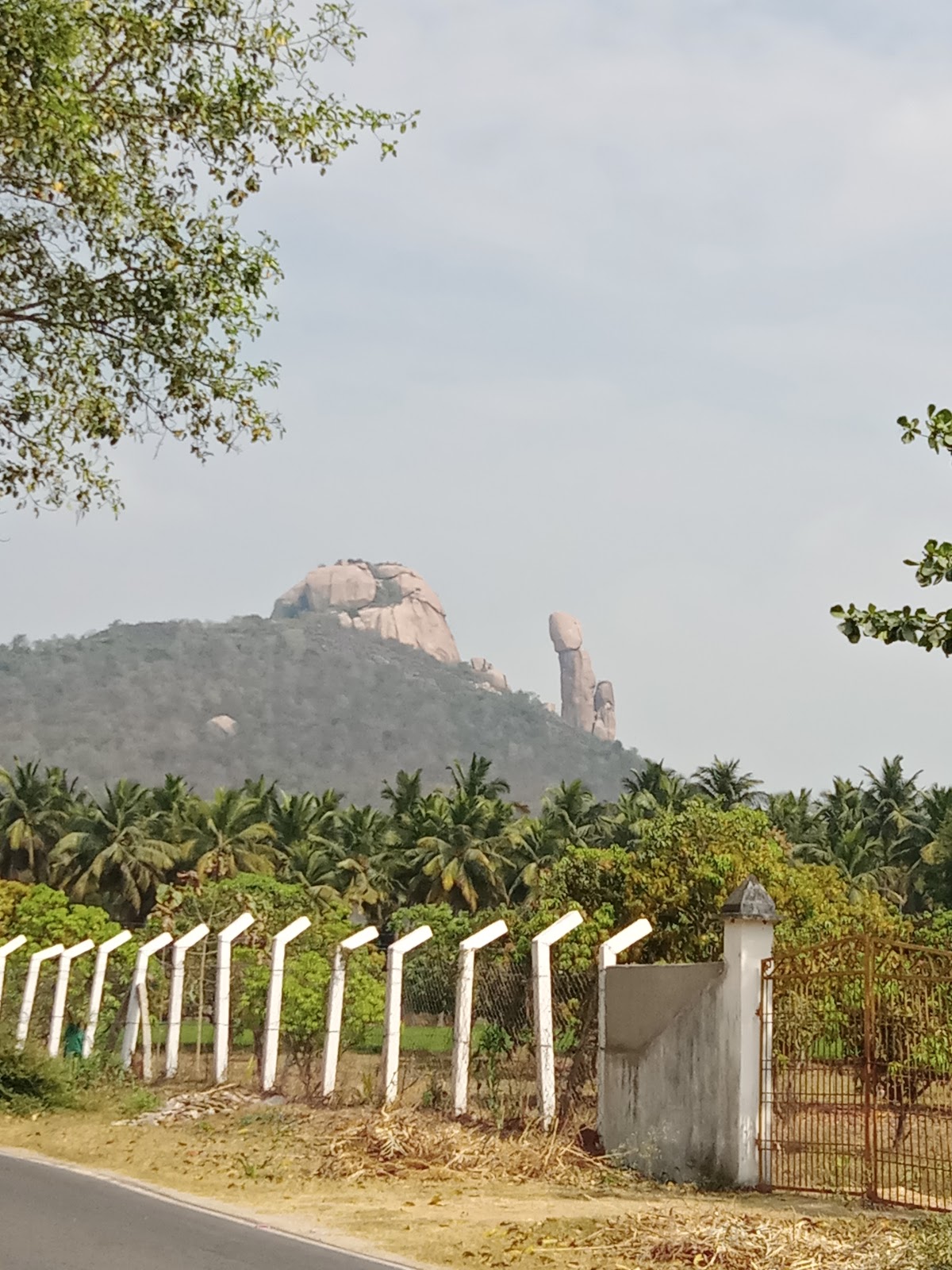 Nagari Hills