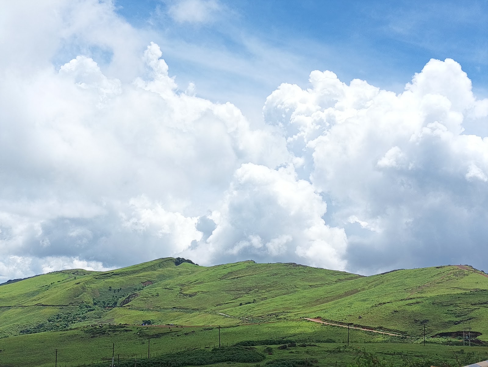 Bhadra Wildlife Sanctuary