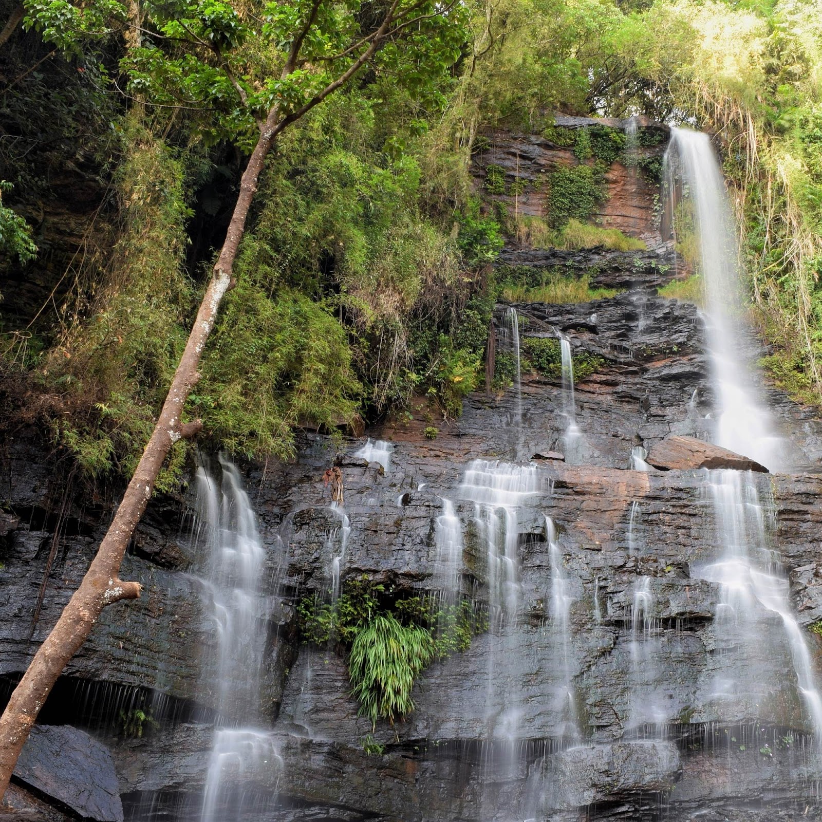Bhadra Wildlife Sanctuary