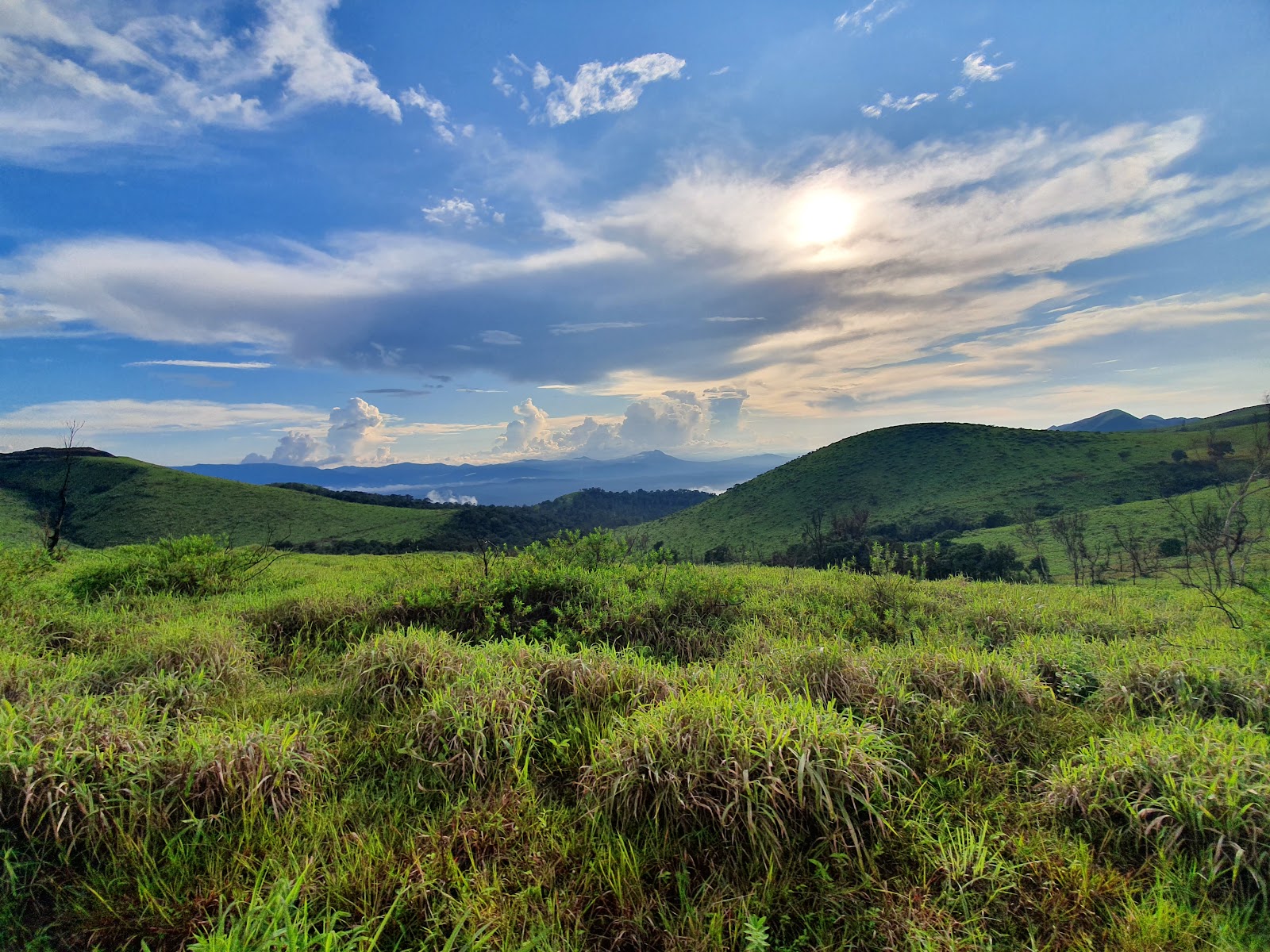 Bhadra Wildlife Sanctuary