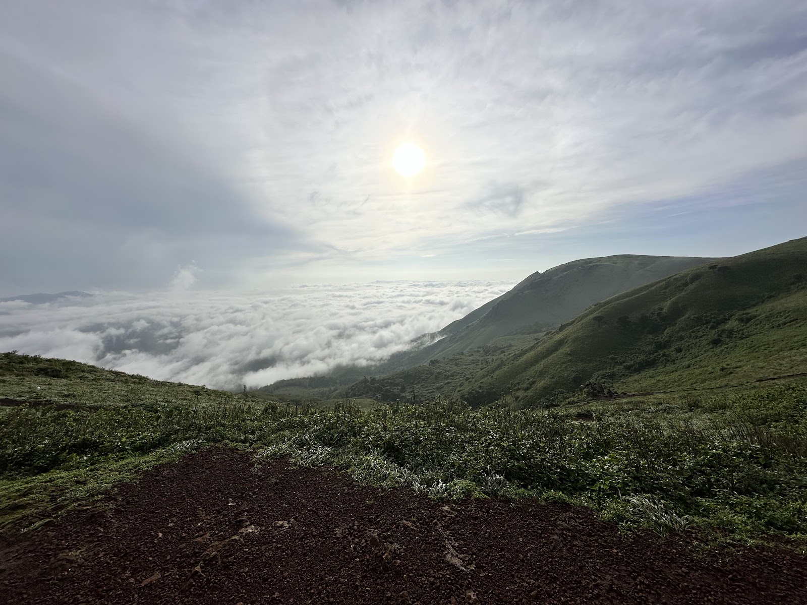Bhadra Wildlife Sanctuary