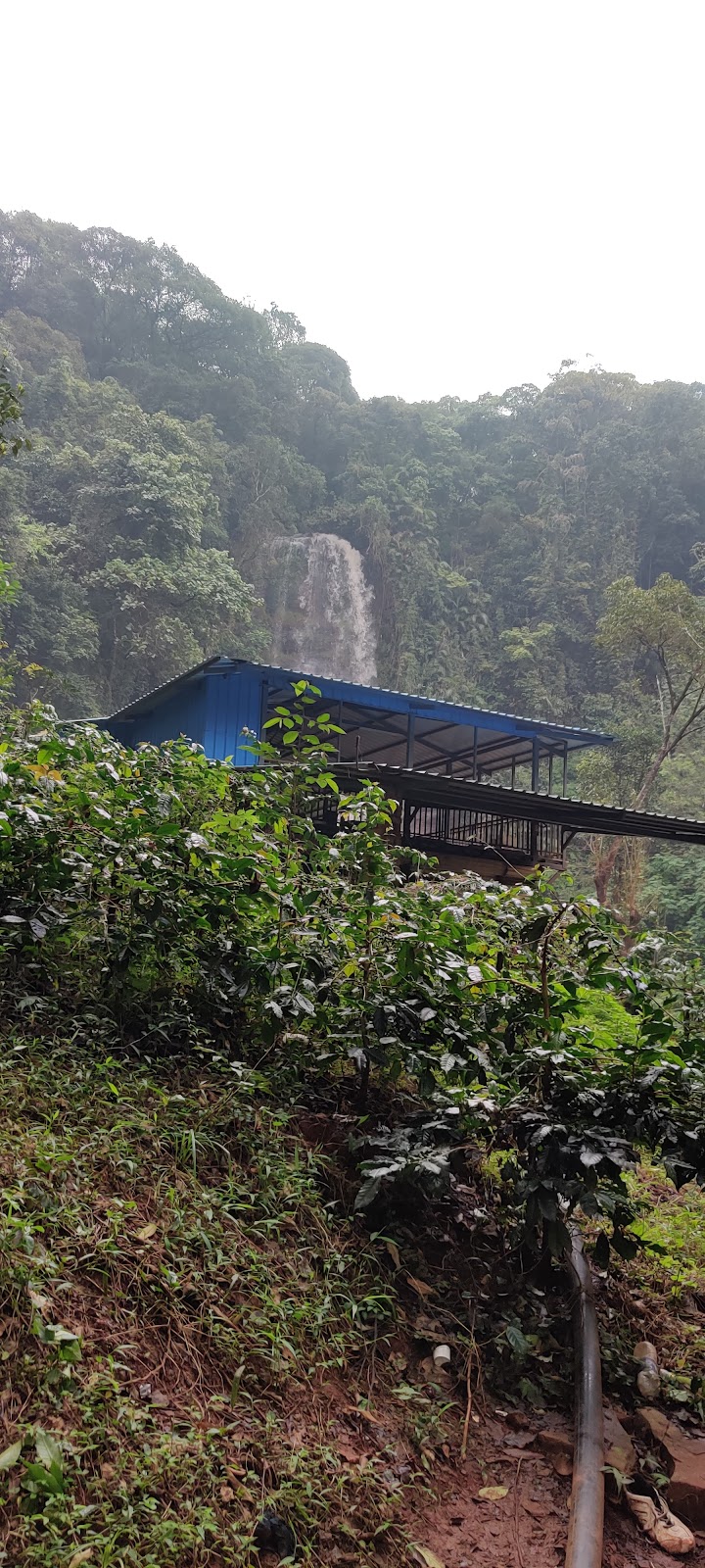 Jhari Waterfalls