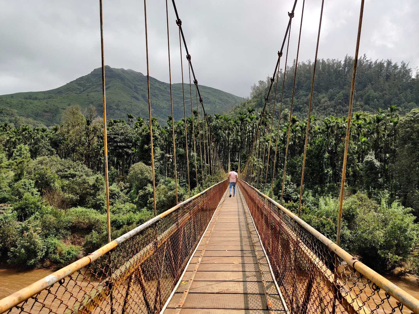 Kudremukh National Park