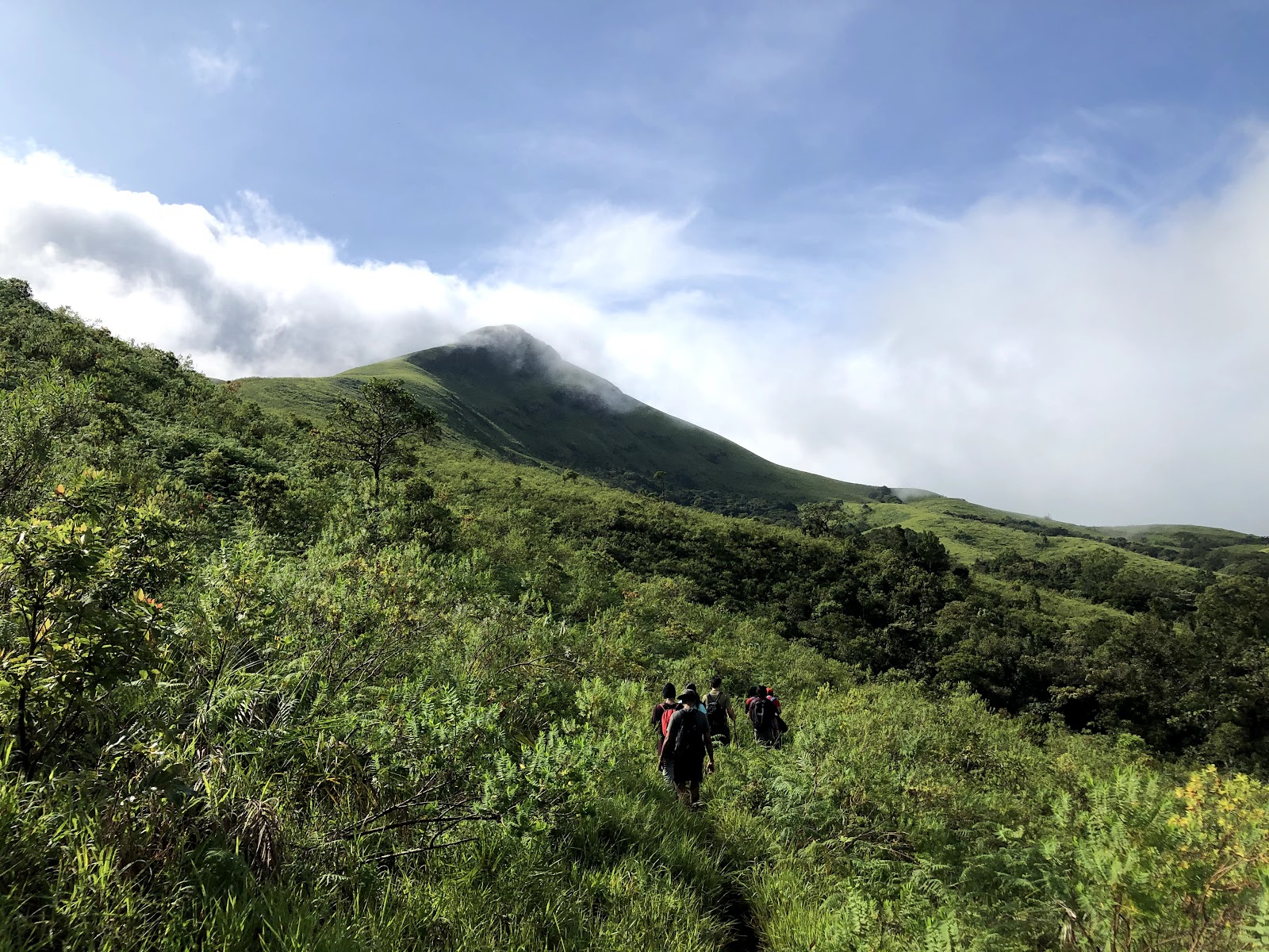 Kudremukh National Park