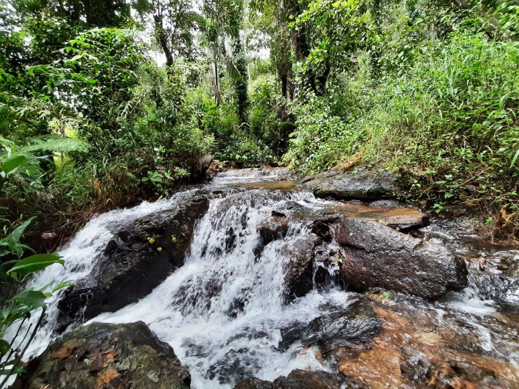 Kudremukh National Park
