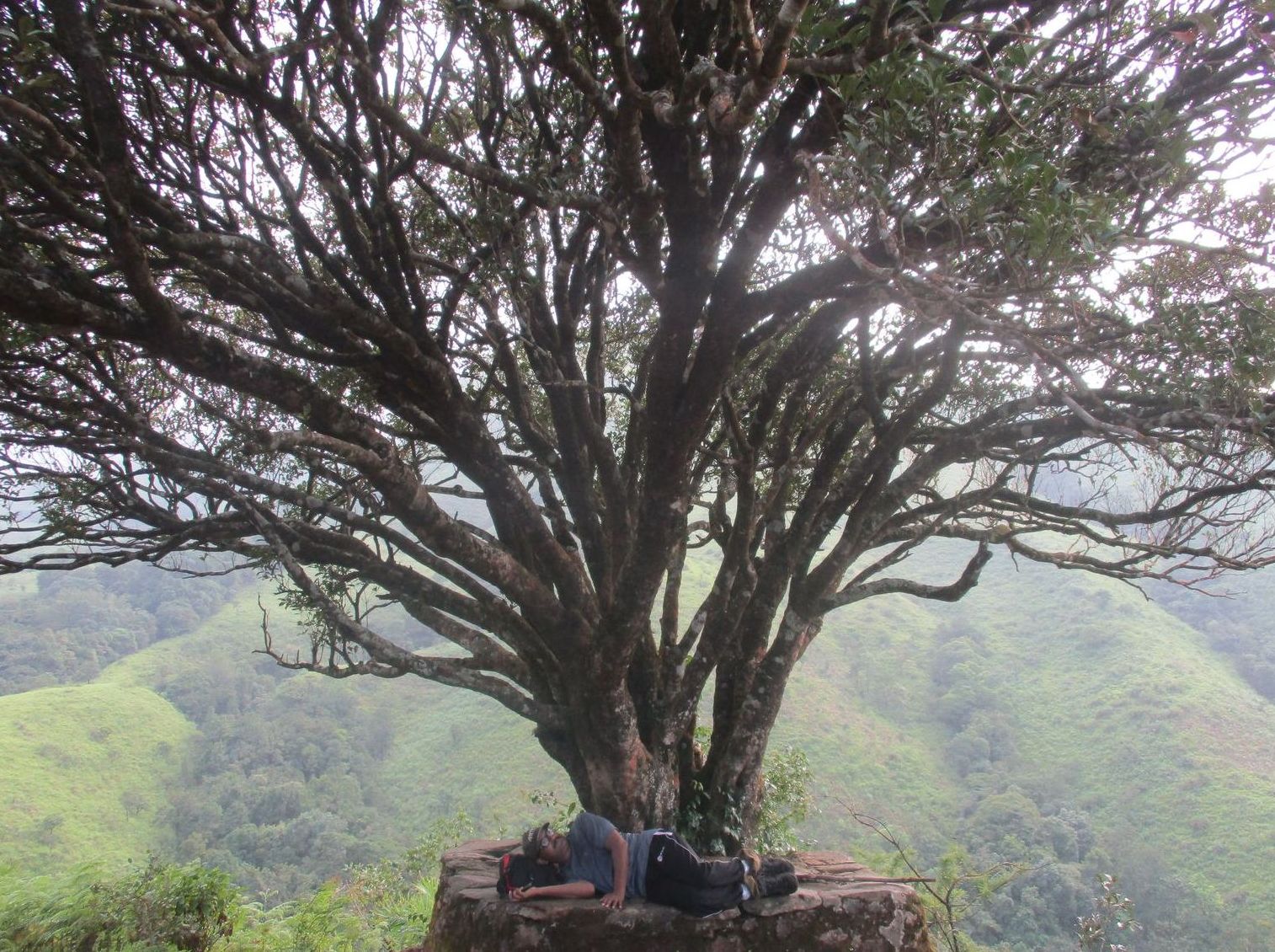 Kudremukh Peak