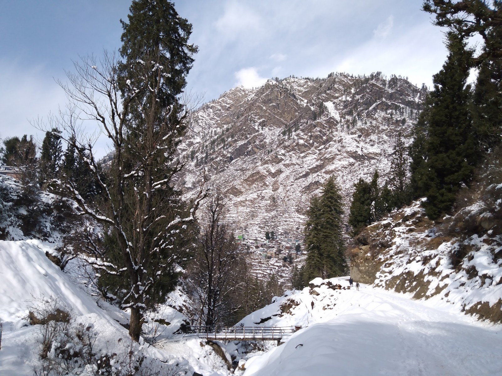 Pulga Village