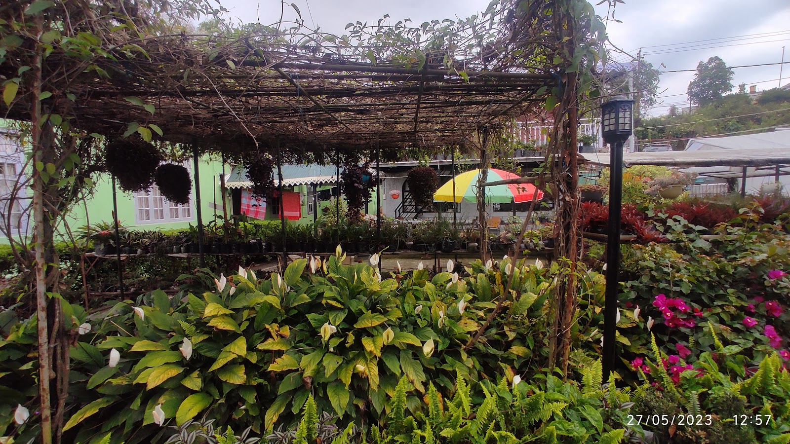 Pine View Nursery and Flower Market