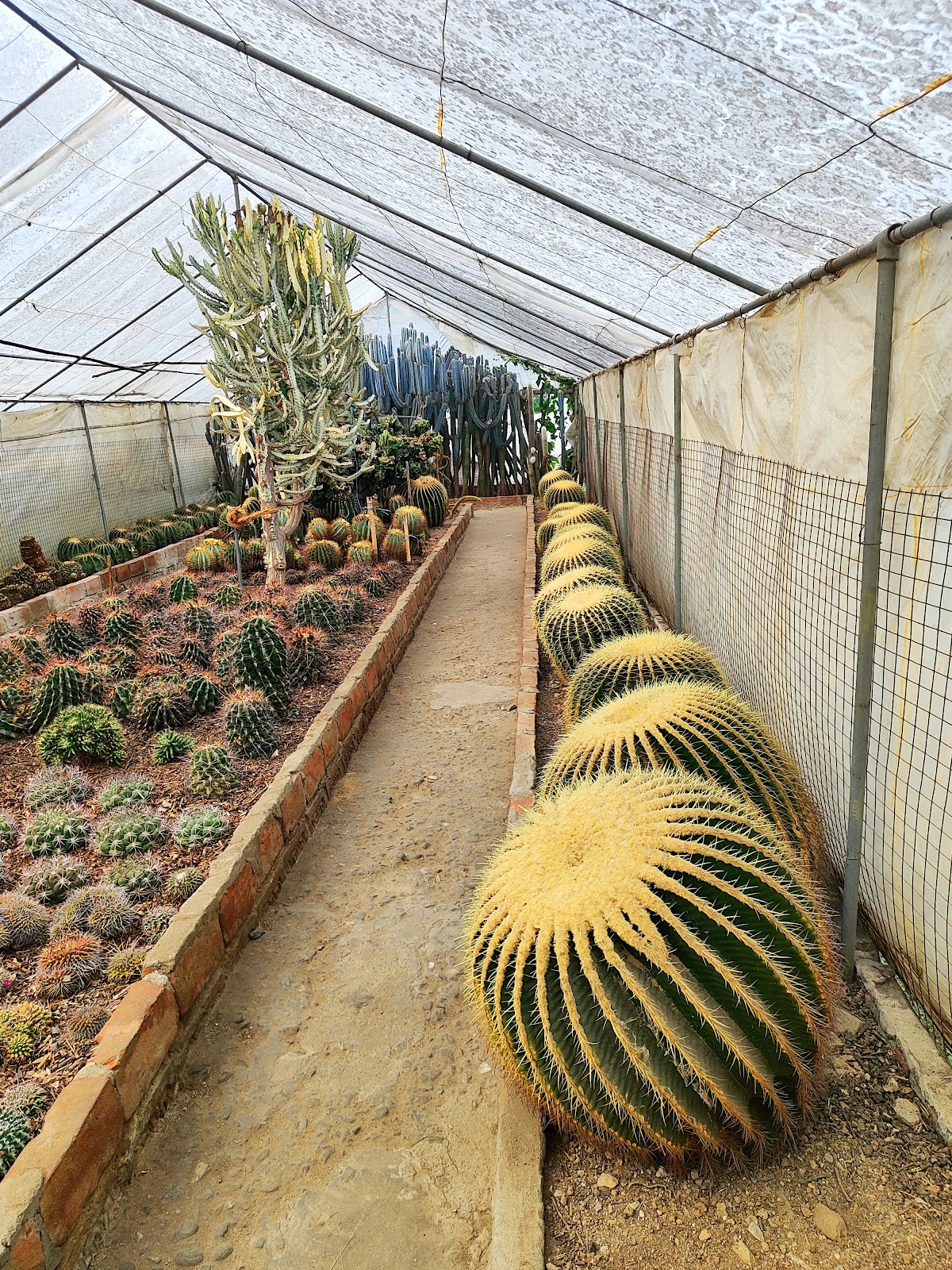 Pine View Nursery and Flower Market