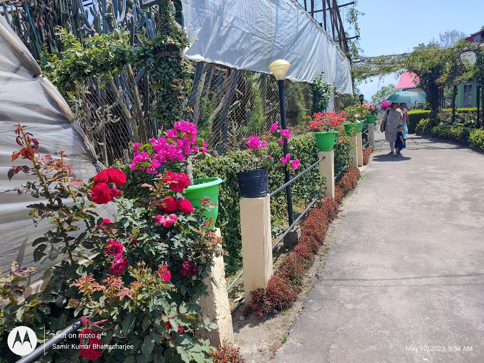 Pine View Nursery and Flower Market