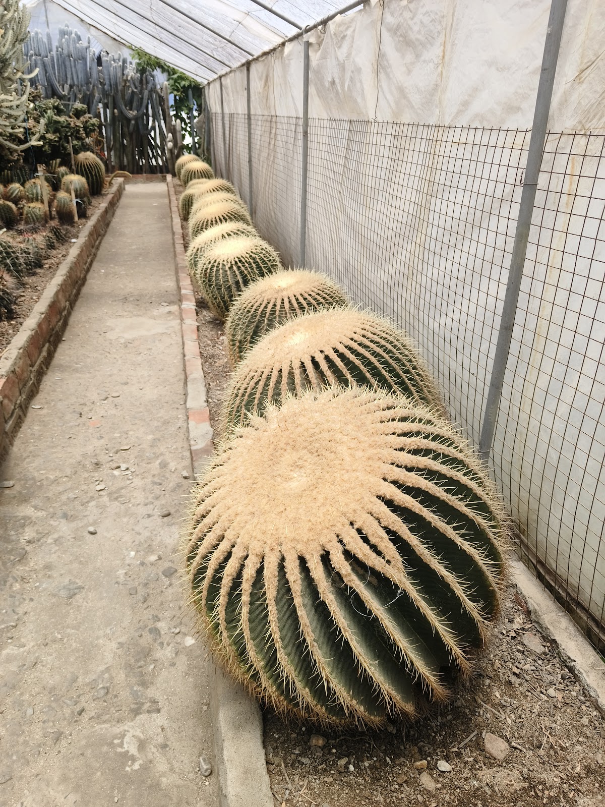 Pine View Nursery and Flower Market