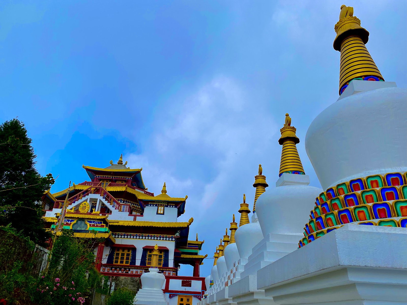 Zang Dhok Palri Phodang Monastery