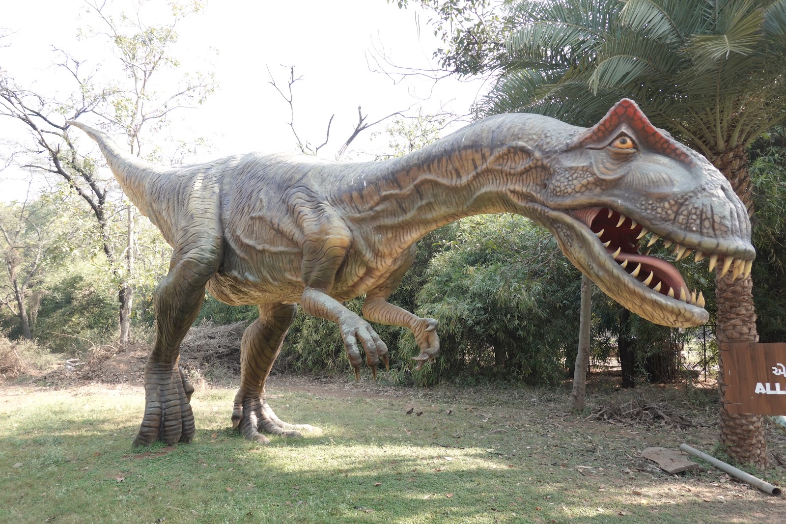 Indroda Dinosaur and Fossil Park