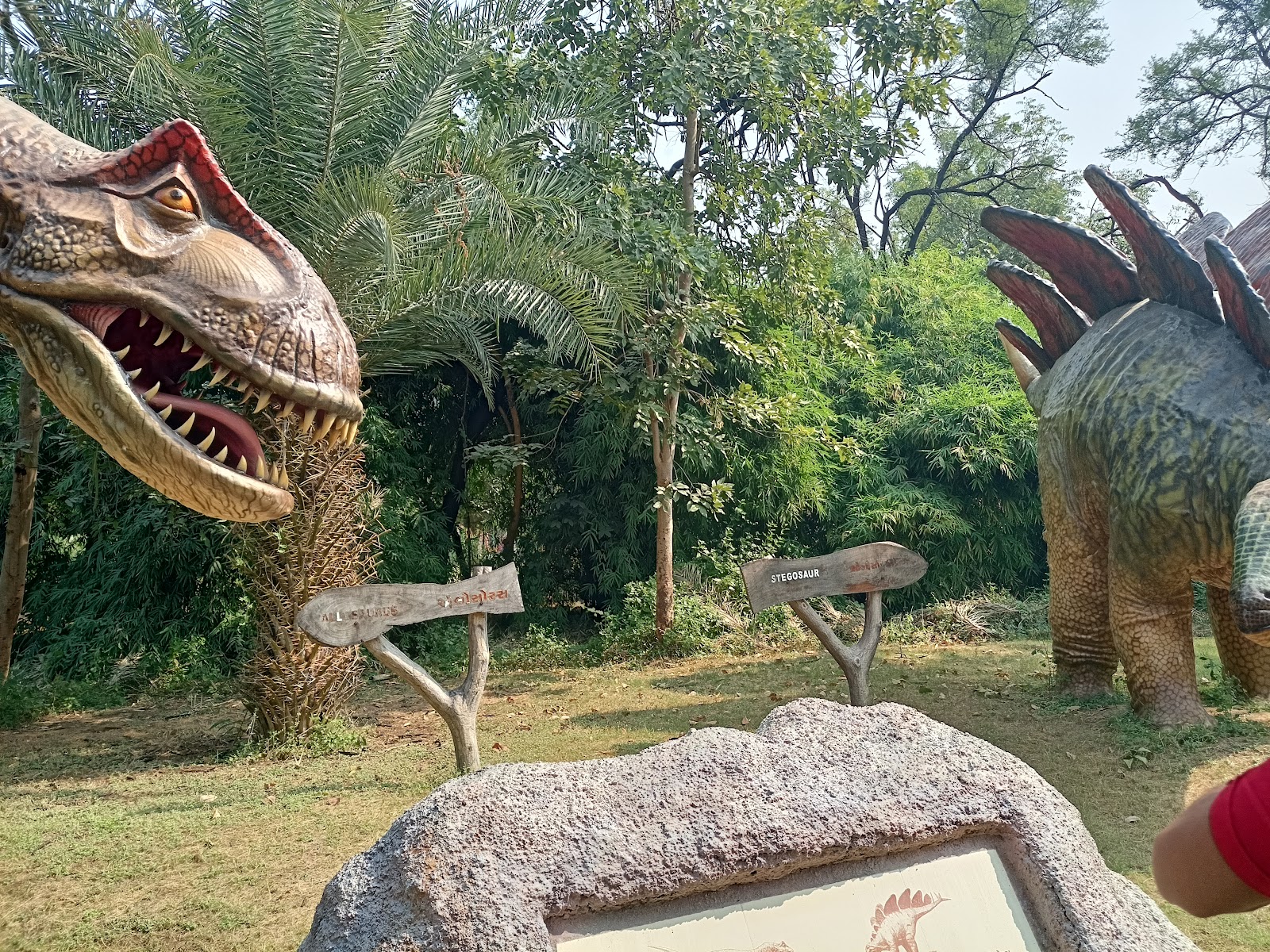 Indroda Dinosaur and Fossil Park