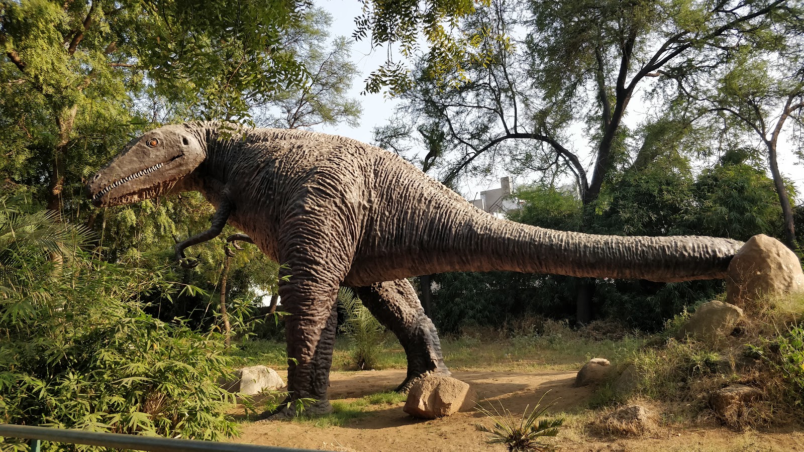 Indroda Dinosaur and Fossil Park