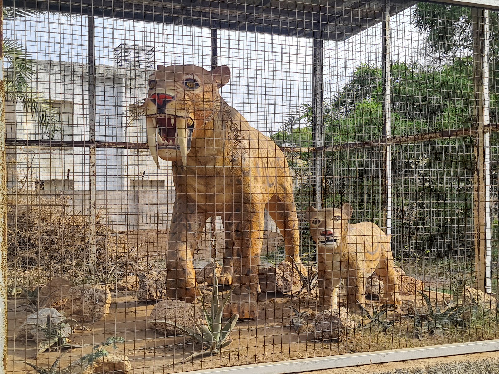 Indroda Dinosaur and Fossil Park