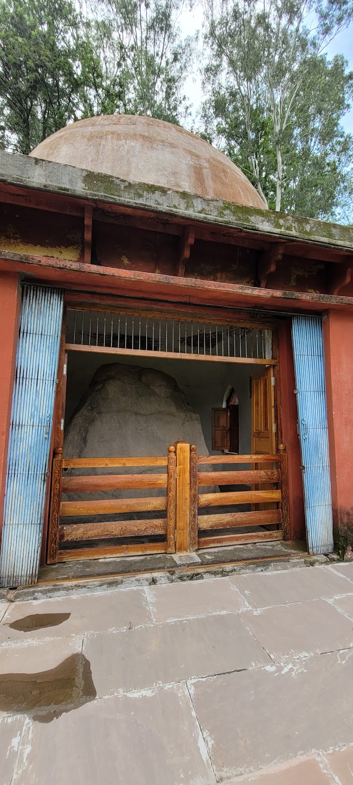 Ashoka's Rock Edicts
