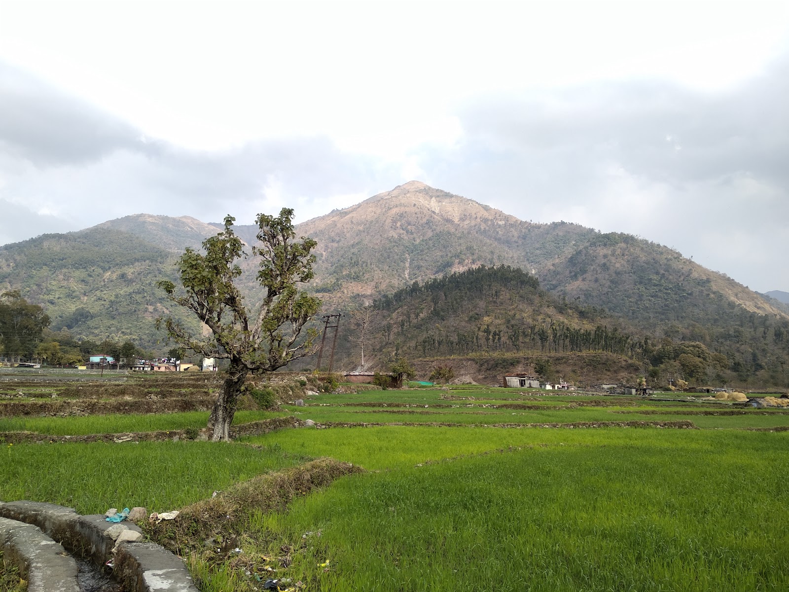 Ashoka's Rock Edicts