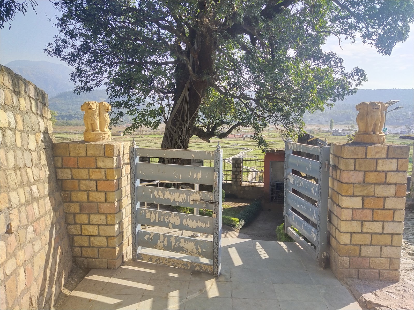 Ashoka's Rock Edicts